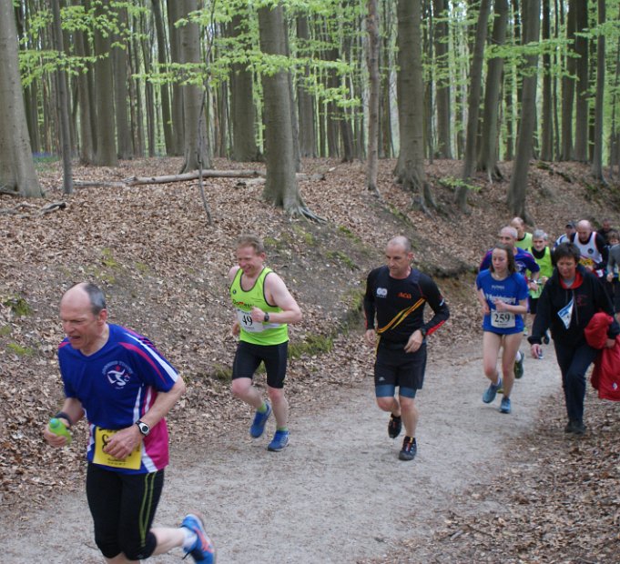 Hyacintenjogging 2016 - 100